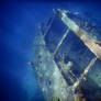 Antilles Wreck - Aruba -1
