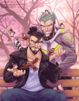 Hanzo Goes to Therapy Zine : Feeding sparrows