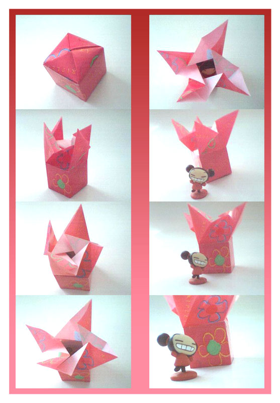 PUCCA IN ORIGAMI BOX