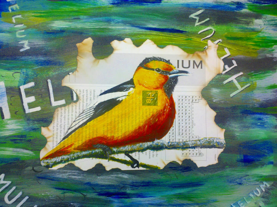 helium bird by Luisito12324 on DeviantArt