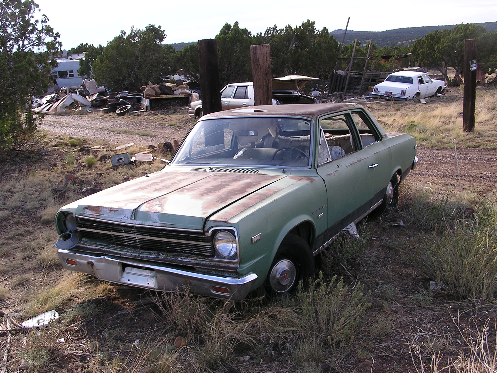 Crazy Hillbilly Car 01.