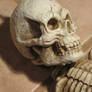 Skull 01.
