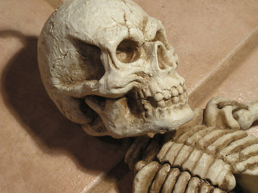 Skull 01.