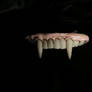 Vampire Fangs 01.