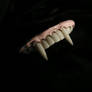 Vampire Fangs 02.