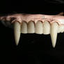 Vampires Fangs 04.
