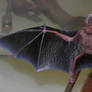 Bat Stock