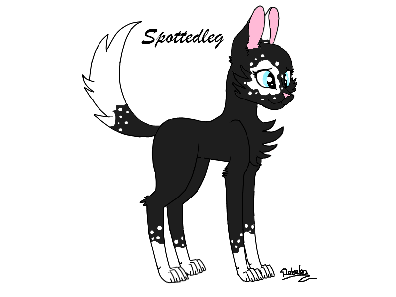 Warrior cats OC Spottedleg