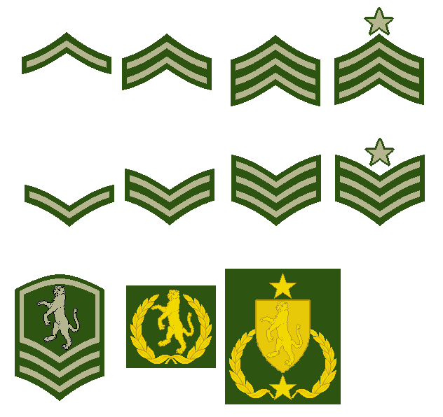 Ncm Ranks Tianpur NCO Ranks by DJ-Chay on DeviantArt