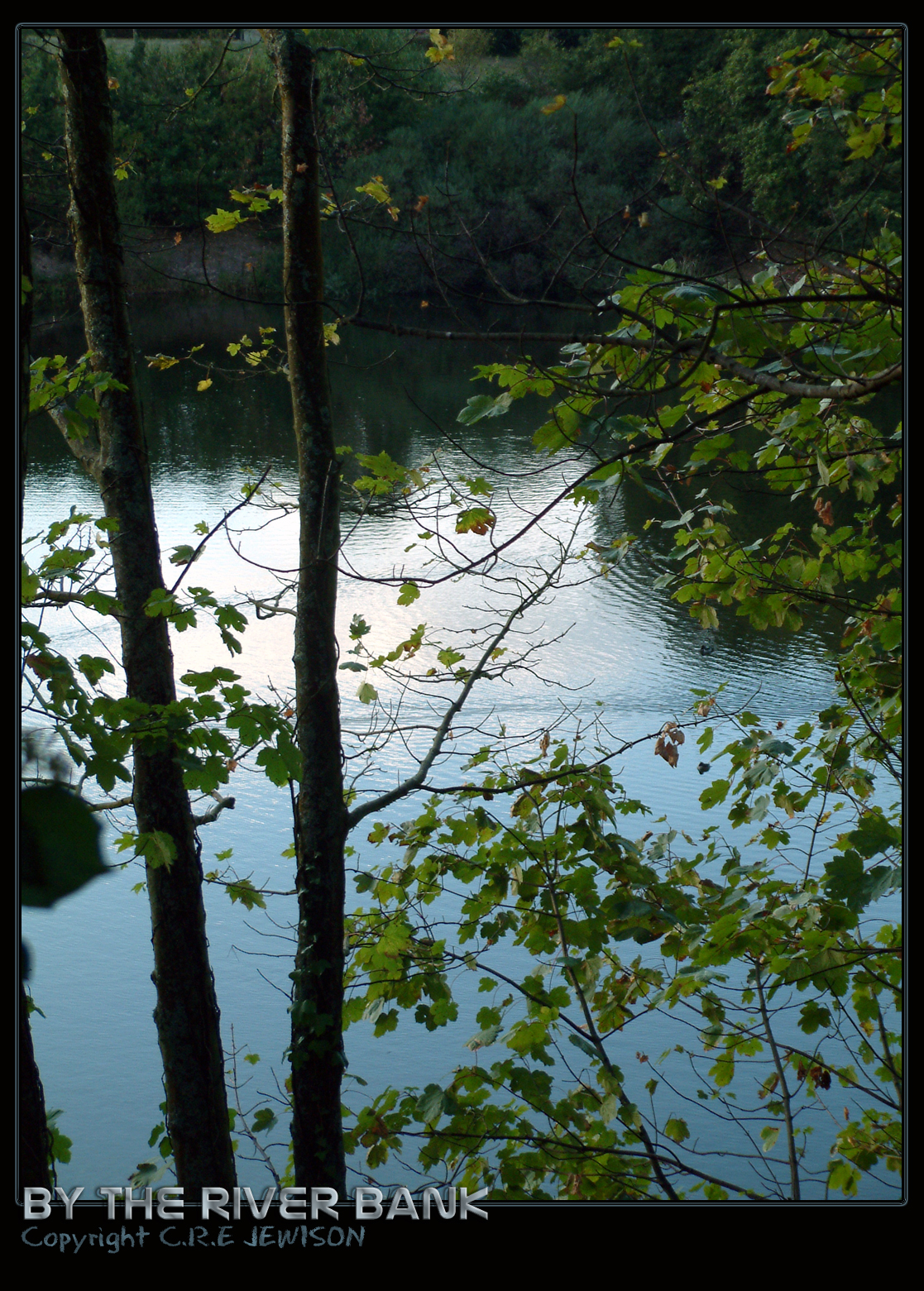 By the River Bank