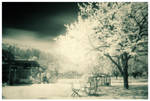 The Infrared Garden by DREAMCA7CHER