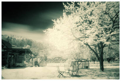 The Infrared Garden