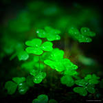 Vibrant Green by DREAMCA7CHER