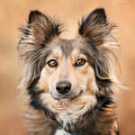 Simply Aline by DREAMCA7CHER