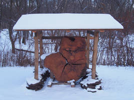 Cedar Lane Tree Monument in Snow