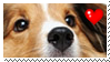 I love collie - stamp