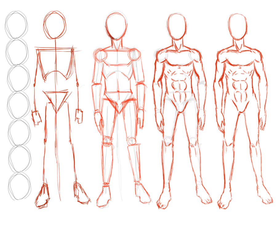 Man Figure Structure Construction of Male Figure by SeanDee21 on DeviantArt