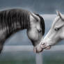 Kiss the rain
