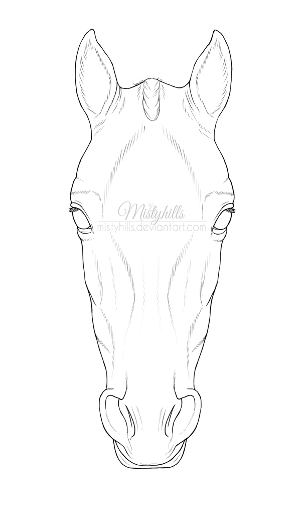 Horse Head Lineart