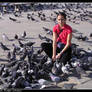 Sea of doves 10