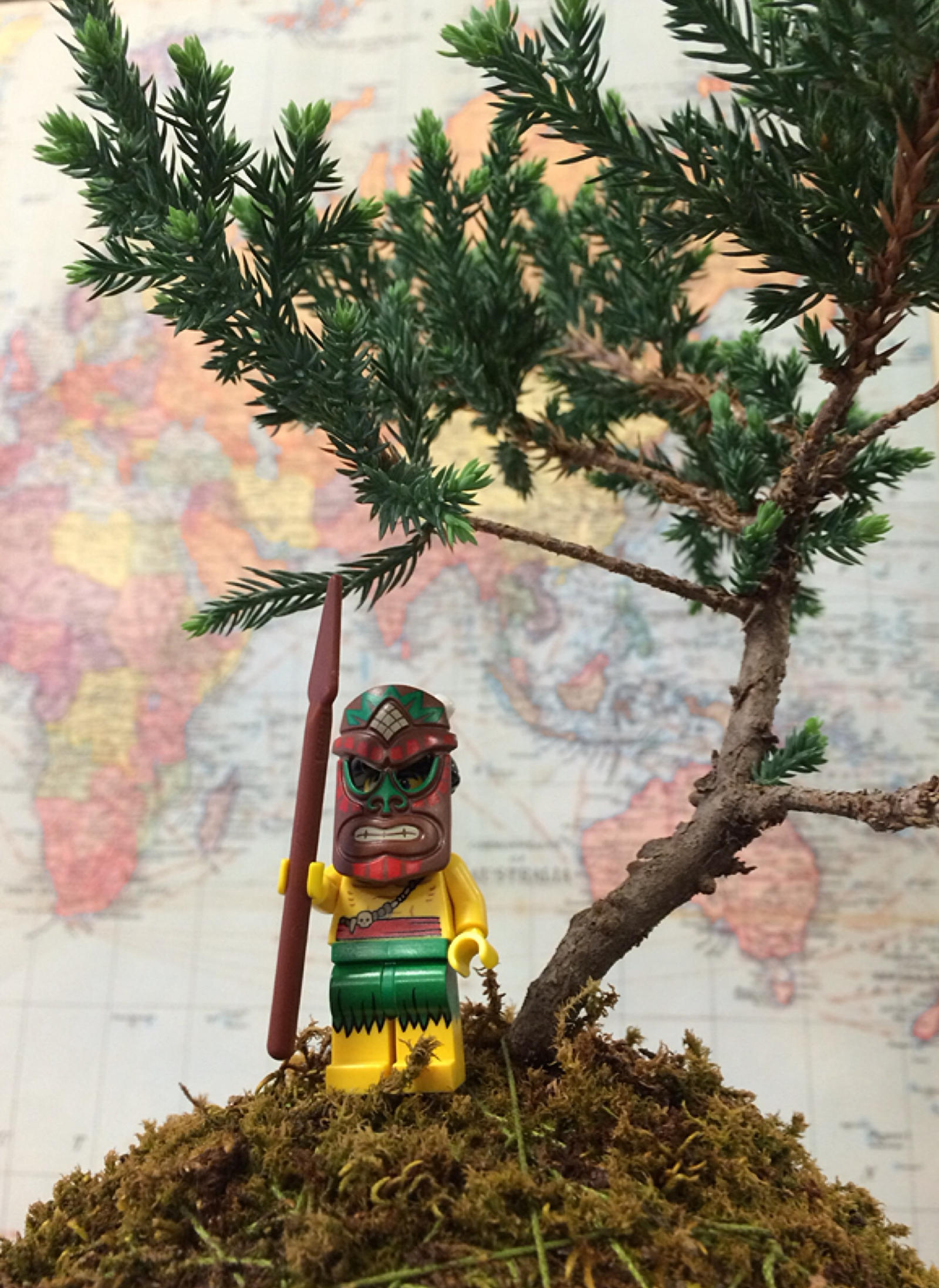 Cannibal LEGO bonsai