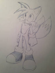 Tails Pencil Sketch