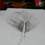 Feather sketch