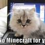 minecraft cat