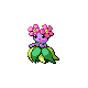 Silver Bellossom revamp