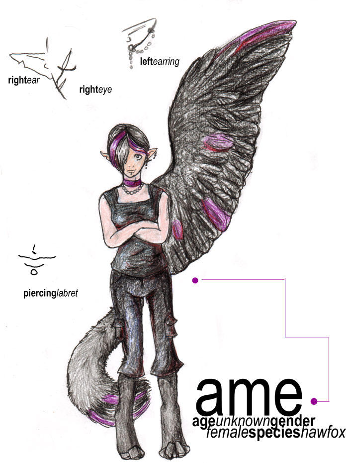 Ame Character Sheet by stormblood on DeviantArt