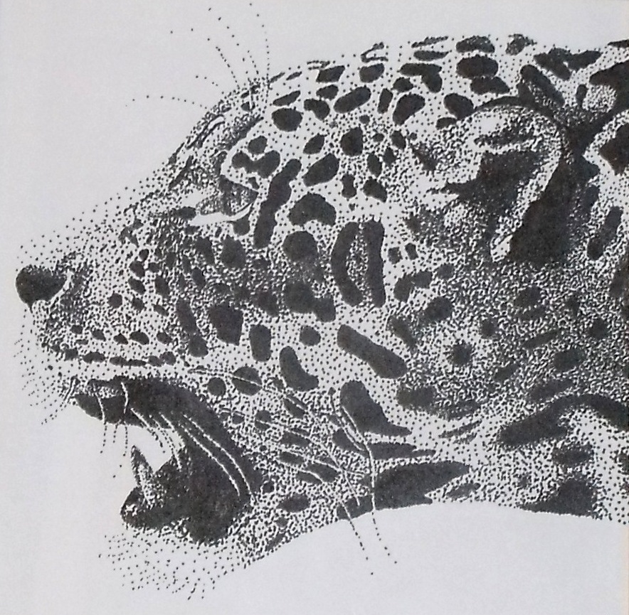 Jaguar Stippling