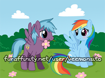 Storm Rider and Rainbow Dash