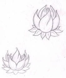 Lotus Tattoos