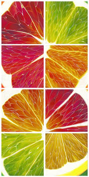 Drawing II- Citrus Grid