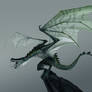 Dragon Concept 02