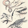 Liopleurodon 01