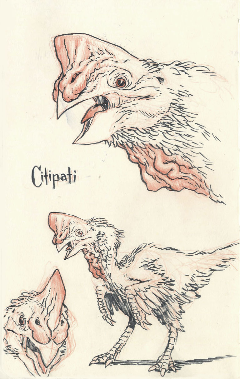 Citipati