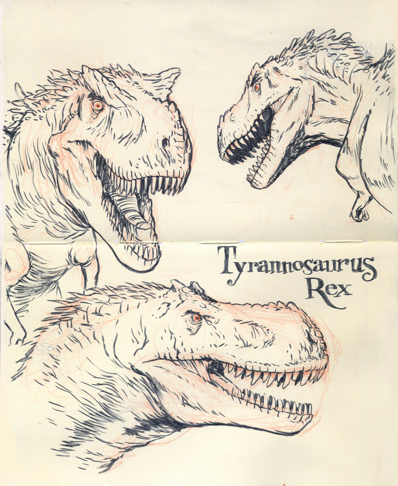 Tyrannosaurus rex 01