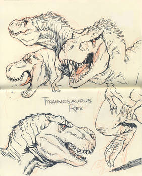 Tyrannosaurus rex 02