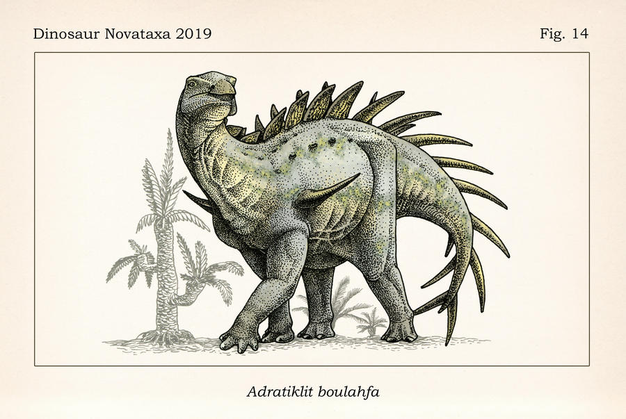 Adratiklit boulahfa by DimasaurusArt on DeviantArt