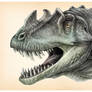 Ceratosaurus portrait