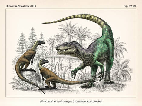 Gnathovorax and Nhandumirim