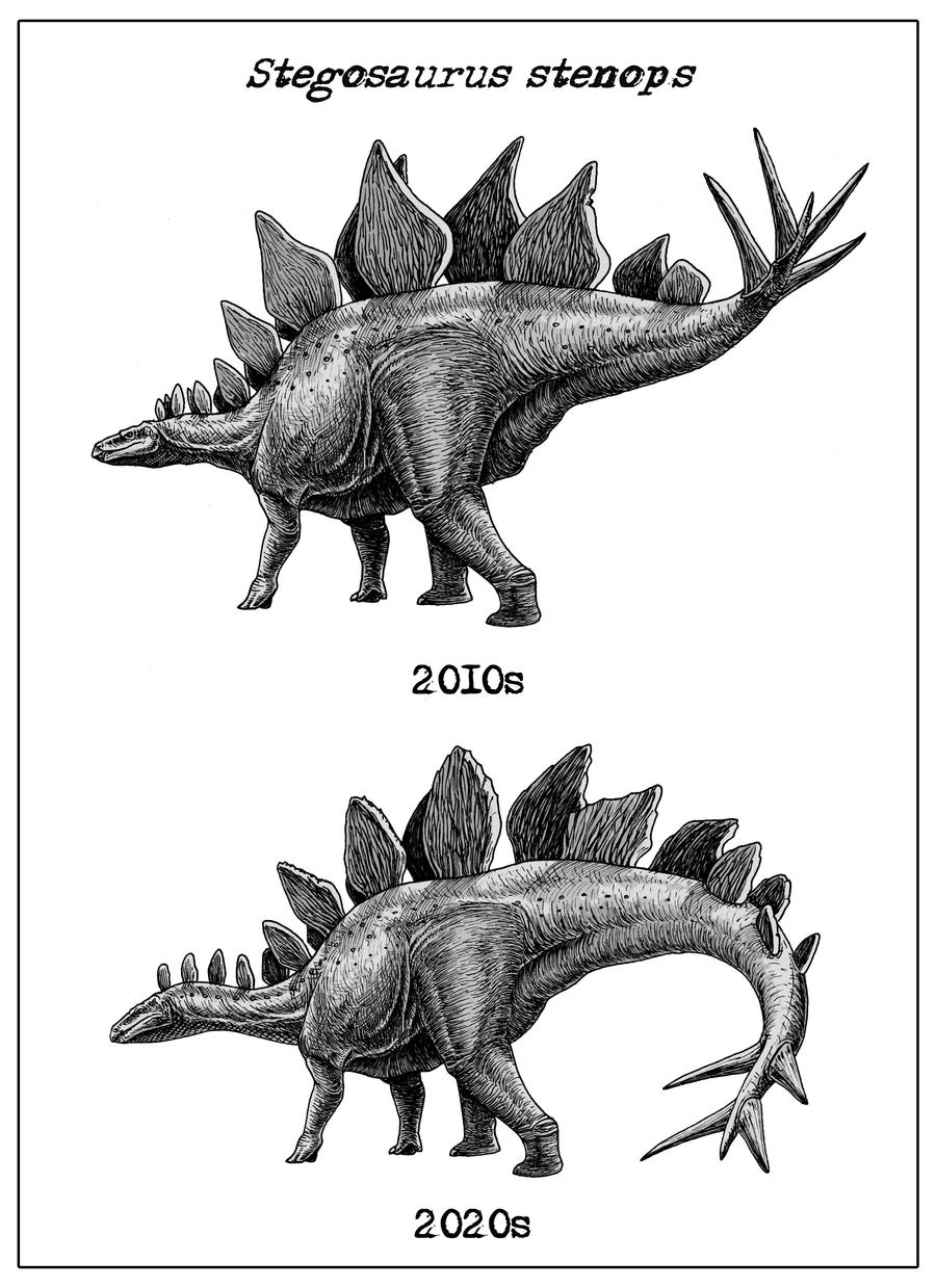dino_decade__stegosaurus_stenops_by_fossil1991_ded1kl1-fullview.jpg?token=eyJ0eXAiOiJKV1QiLCJhbGciOiJIUzI1NiJ9.eyJzdWIiOiJ1cm46YXBwOjdlMGQxODg5ODIyNjQzNzNhNWYwZDQxNWVhMGQyNmUwIiwiaXNzIjoidXJuOmFwcDo3ZTBkMTg4OTgyMjY0MzczYTVmMGQ0MTVlYTBkMjZlMCIsIm9iaiI6W1t7ImhlaWdodCI6Ijw9MTIzOSIsInBhdGgiOiJcL2ZcL2NlYTdmNWJmLWUyYWYtNGVkNS1iMjBhLTlhMjkxZjA4MzllZVwvZGVkMWtsMS0xOGUwM2VhYi1kZjQzLTQzZDEtOTMxYS05OWIzMmMwZGFhMmUuanBnIiwid2lkdGgiOiI8PTkwMCJ9XV0sImF1ZCI6WyJ1cm46c2VydmljZTppbWFnZS5vcGVyYXRpb25zIl19.6tWMy6g8gDVhFpW83XSXJLXt6RGTXqtUILWvlTtVxaE