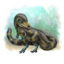 DinoDozen: Sciurumimus