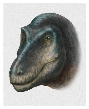 Tyrannosaurus portrait study