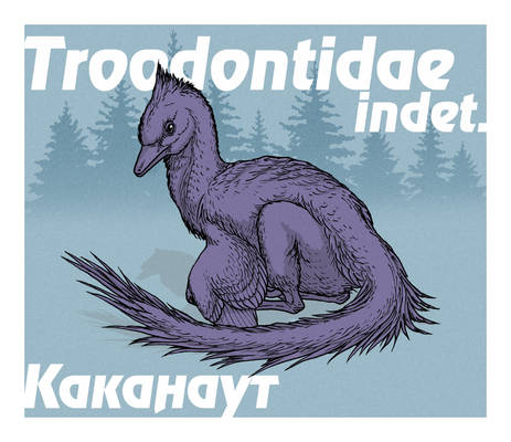 Unnamed dinosaurs of Russia: Troodontidae indet.