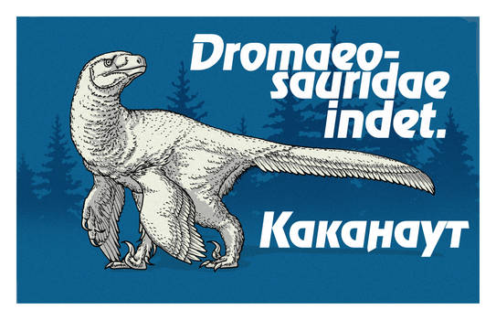Unnamed dinosaurs of Russia:Dromaeosauridae indet.