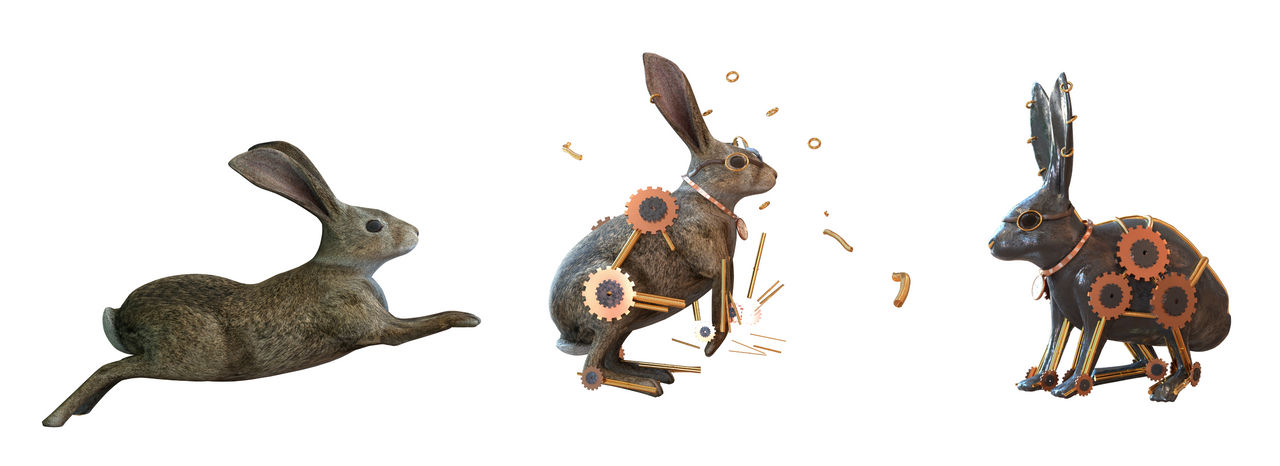 Rabbit steampunk transformation by SebastienPetillon on DeviantArt