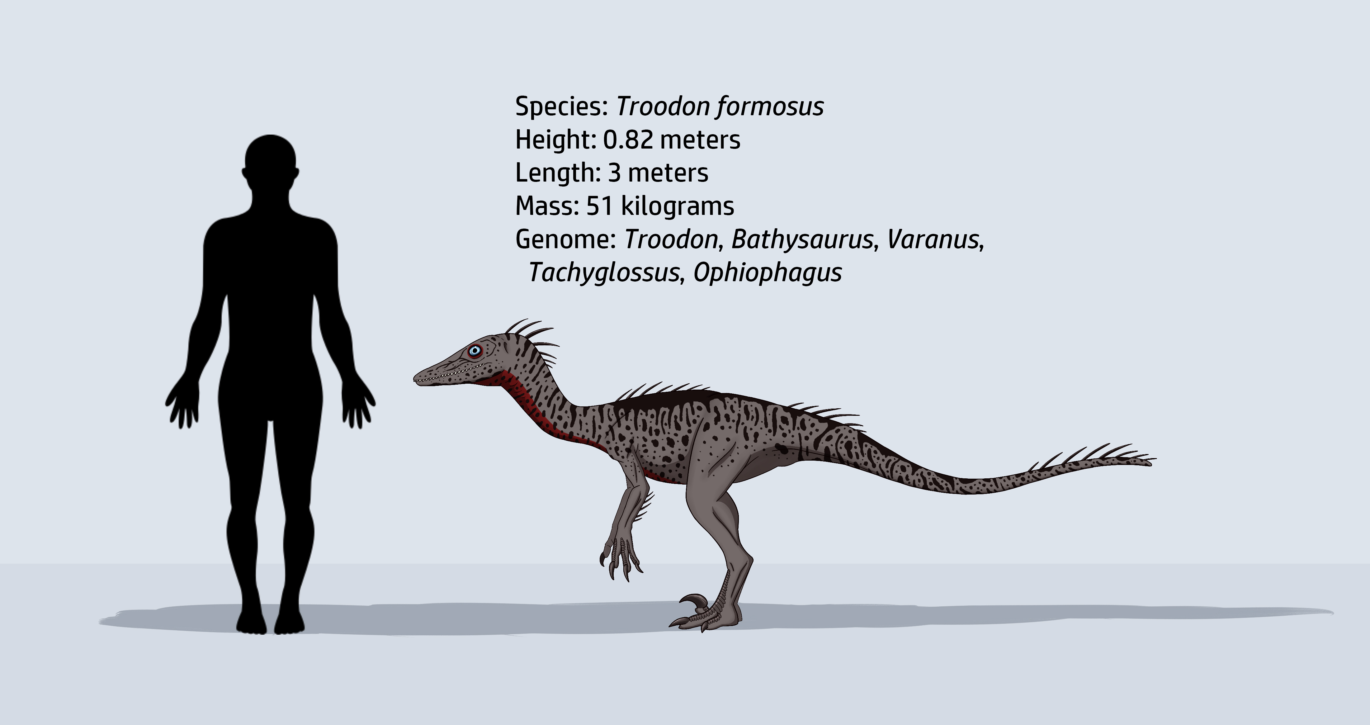 Troodon formosus by JatczakDraws on DeviantArt