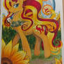 Summer - Sunset Shimmer